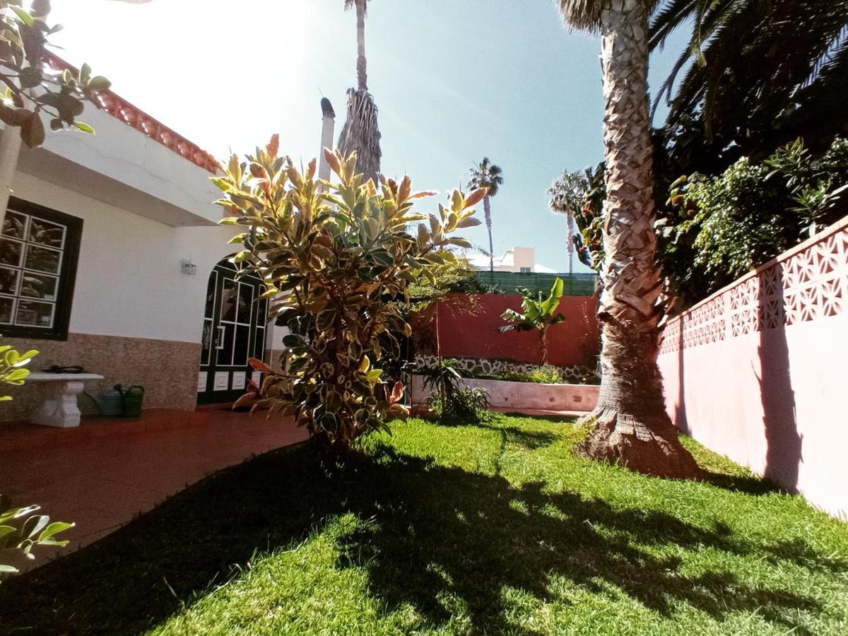 Finca Los Pajaritos Villa Icod De Los Vinos Luaran gambar