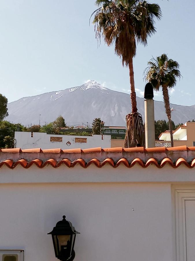 Finca Los Pajaritos Villa Icod De Los Vinos Luaran gambar
